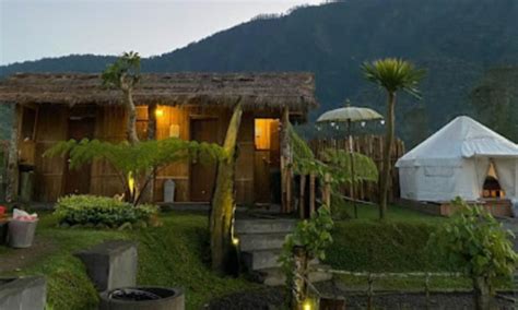 Glamour Camping Bedugul Destinasi Glamping Favorit Hits Di Bali De