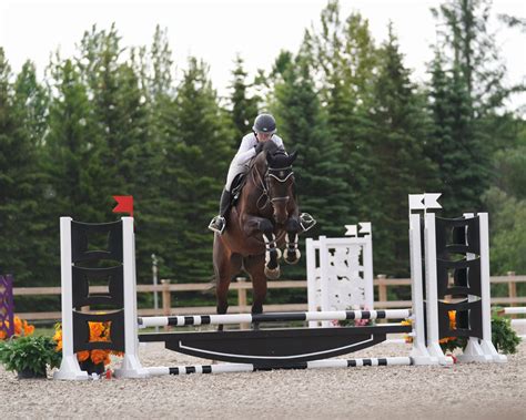 equine sport 6