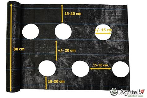 Agrotkanina OTWORY pod TRUSKAWKI sadzonki 0 8x20m 2 rzędy Cieśle