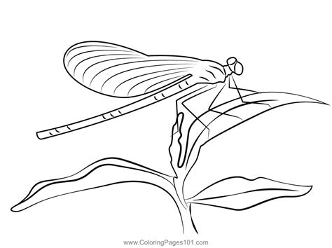 Shiny Dragonfly With Blue Wings Coloring Page for Kids - Free ...