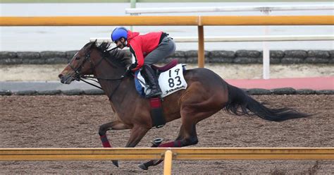 【京王杯sc】メイケイエールしまい伸びやか好調キープ サンスポzbat