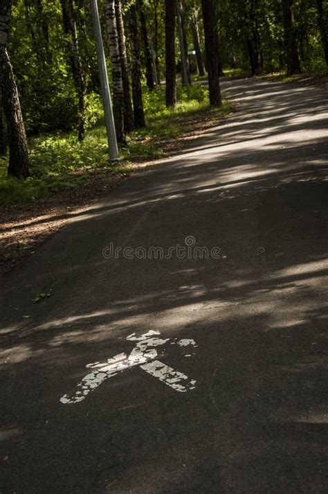 Pedestrian Road Sign on the Road in Park Stock Image - Image of line ...