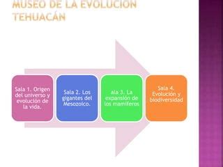 Actividades Economica De Tehuacan Y Su Region PPT