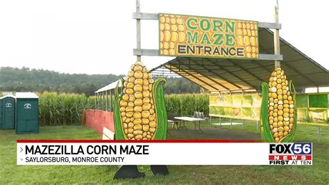 Mazezilla Corn Maze