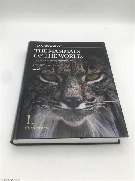 Whales The World Of Mammals English Edition 4
