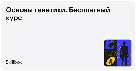 Курс «Основы генетики»: узнайте о генетике онлайн — Skillbox