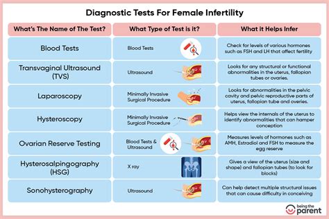 Diagnostic Tests For Female Infertility Tips And List Of Tests