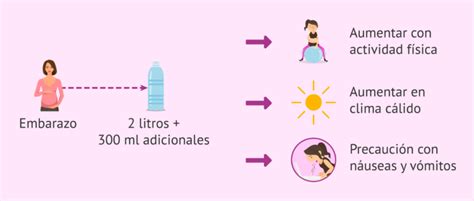 Incrementar El Consumo De Agua En El Embarazo