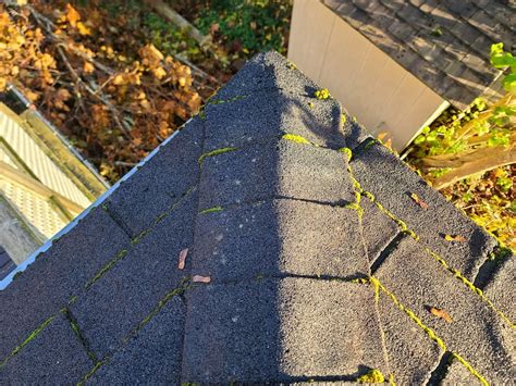 Spotting The Signs How To Know When Your Roof Needs Repairs