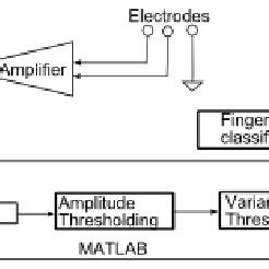 Flow Diagram of Signal | Download Scientific Diagram