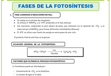 Fichas Para Imprimir Para Secundaria Ficha Y De Caligraf A