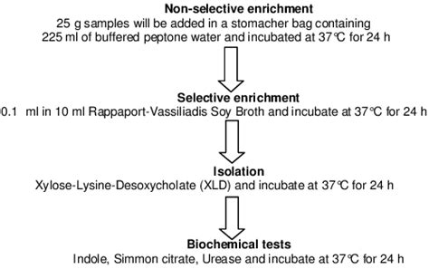 Flow Chart Of The ISO 6579 Protocol For Isolation And Identification Of