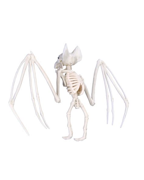 Skelett Fledermaus Cm Als Halloween Deko Horror Shop