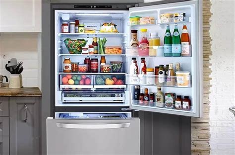 Best Bottom Freezer Refrigerators 2024 Uk Blake Gunilla