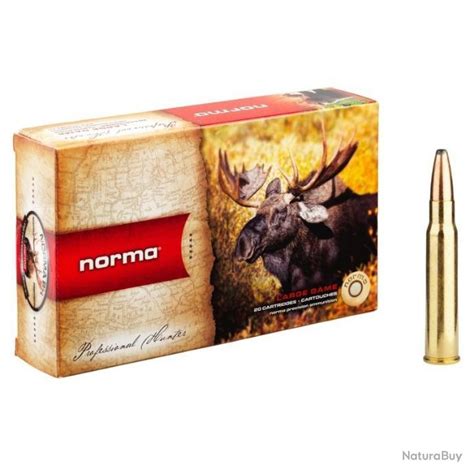 Munitions NORMA Cal 300 Win Mag Oryx 11 7g 180 Grains Par 20 Balles