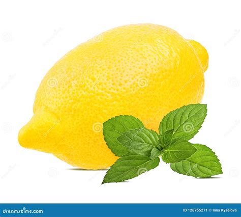 Fresh Mint Leaf And Lemon Isolated On White Stock Image Image Of Ripe