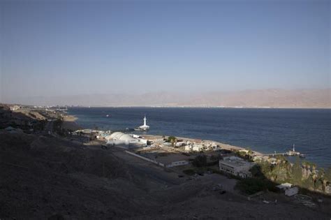 Coral reefs in the Gulf of Aqaba may survive global warming - EPFL