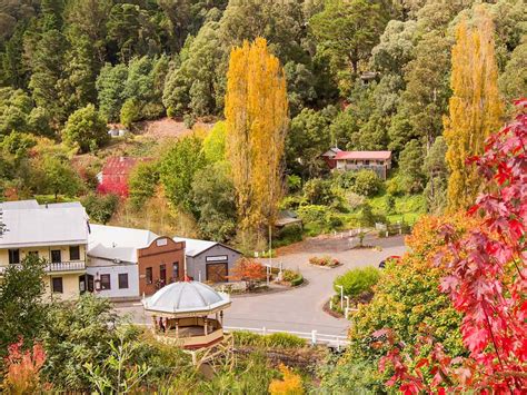 Walhalla Tramline Walk Attraction Gippsland Victoria Australia