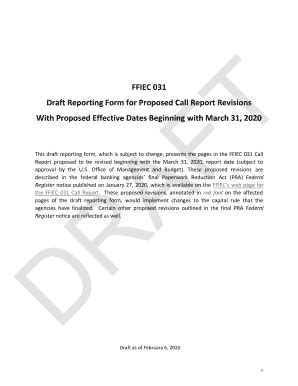 Fillable Online FFIEC 051 Draft Reporting Form For Proposed Call Report