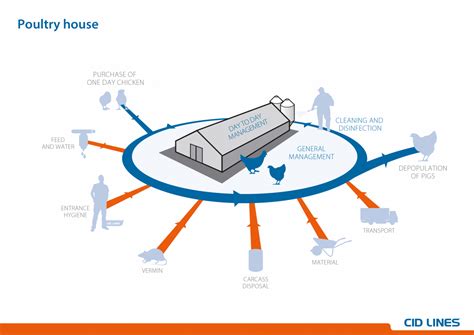 Critical Points On The Poultry Farm Introduction Cid Lines