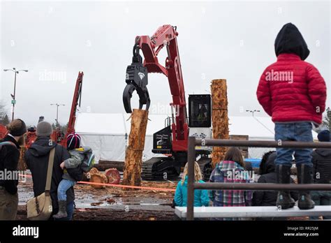 Spectators Watch A Log Stacking Event At The Oregon Logging Conference