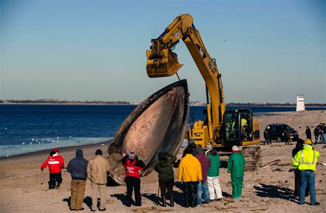 Beached Whale Buried After Necropsy The New York Times