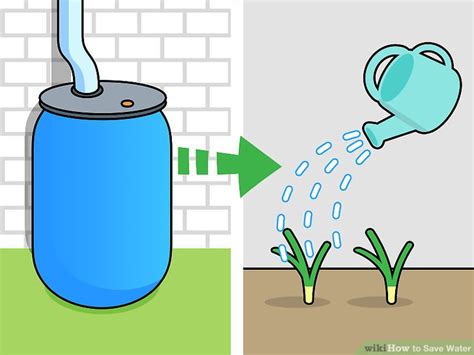 Practical And Easy Ways To Save Water Apex Group