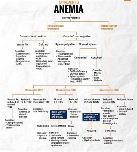 Approach To Anemia MEDizzy