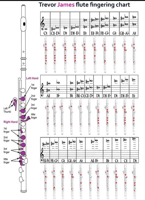 Native American Flute Fingering Chart Six Hole Diatonic Flutes Artofit