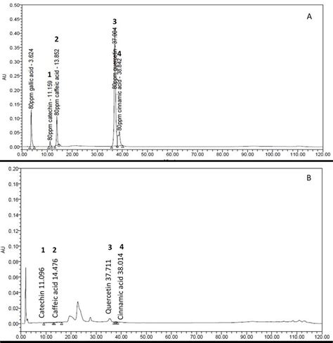 Hplc Chromatogram Detected From Methanolic Extract Of C Papaya B