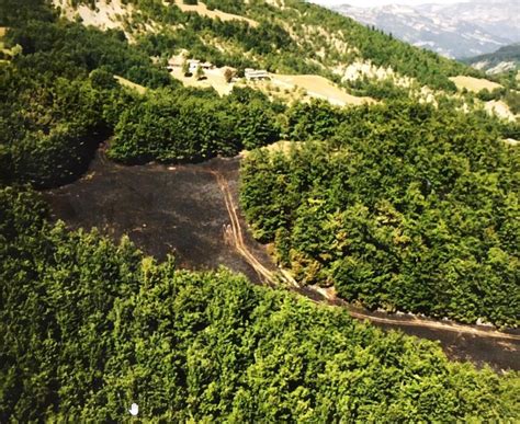 Tra I Campi E I Boschi Divampa Un Incendio Due Ettari Di Terreno