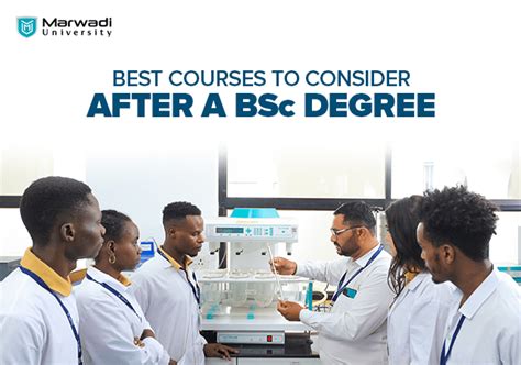 Best Career Options After A Bsc Degree