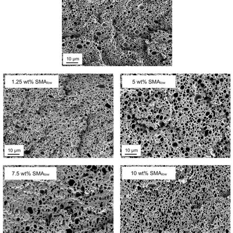 SEM Micrographs Of Selectively Etched PA66 PPE SMA High Ternary Blends