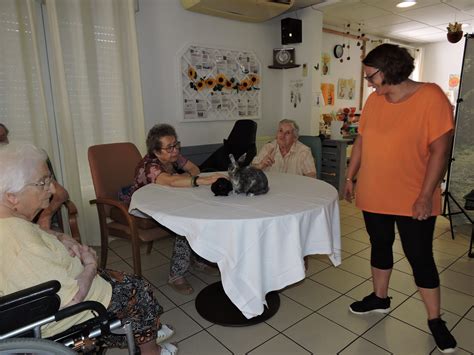 Des animaux pour accompagner les personnes âgées Arthez mon village