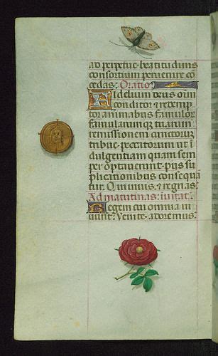 Book Of Hours Marginalia Walters Manuscript W427 Folio 166v Book