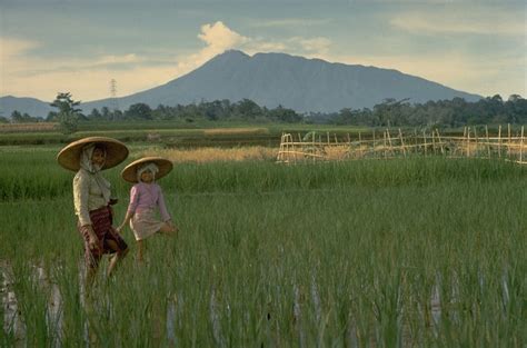 Global Volcanism Program | Indonesia Volcanoes