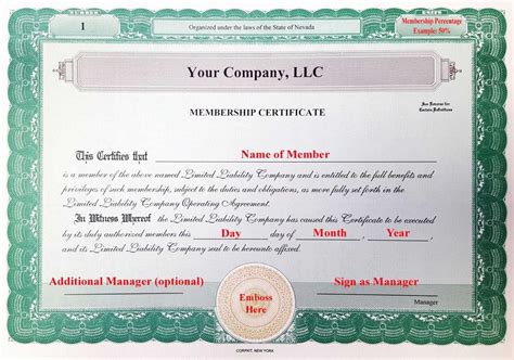 Llc Membership Certificate Template Word