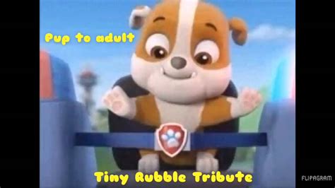 Rubble Tribute Pup To Kidadult 5 Year Old Paw Patrol 🌵🌵🌵🌵🌵🌵 Youtube