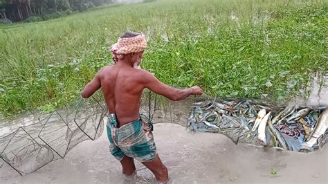 China Ring Net Fishing In Bangladesh।।অদ্ভুত মাছ ধরার ফাঁদ।।চায়না জাল