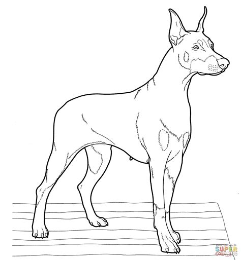 20+ Dog Coloring Pages Realistic | Frauki Chererbse