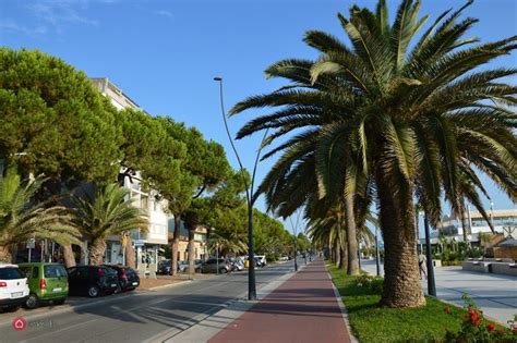 Negozio Locale Commerciale In Vendita In Zona Centro A Roseto Degli