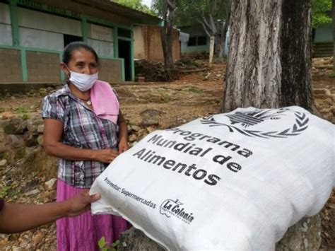 El Programa Mundial De Alimentos Gana Premio Nobel De La Paz Rcv Honduras