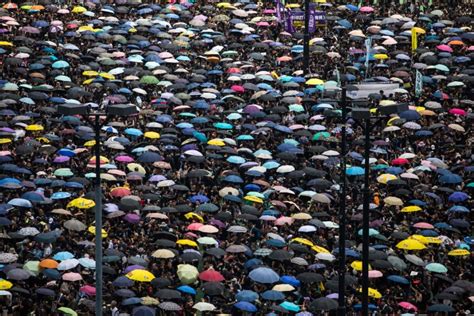 【港人反送中】不满擅暂缓修例‧建制派痛批林郑 国际 天下事 星洲网 Sin Chew Daily