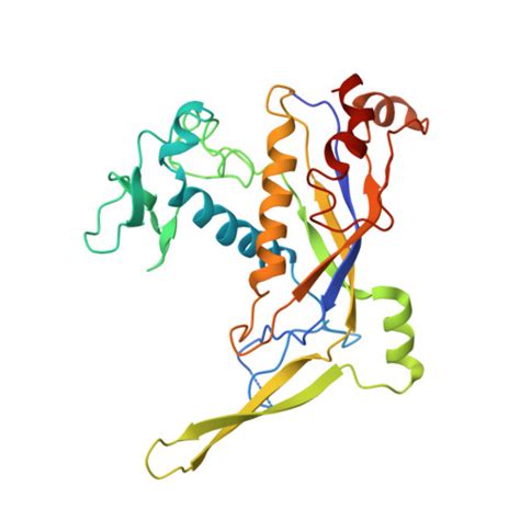 RCSB PDB 6MUS Cryo EM Structure Of Larger Csm CrRNA Target RNA