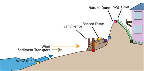 The Effect Of Sand Fencing On The Structure Of Natural Dune Systems