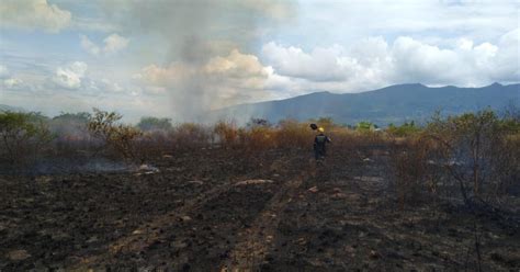 Incendio Forestal Consumió Varias Hectáreas En Los Santos Santander