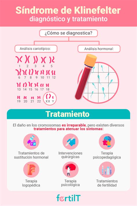 Síndrome De Klinefelter O Xxy Qué Es Características Y Causas