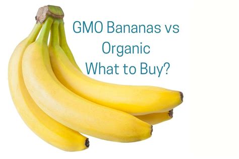 GMO Bananas vs Organic | What to Buy? - Wellbeing with Grace