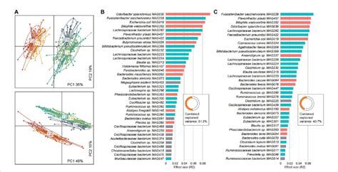 Characterization Of The Serum And Urine Metabolomes And Their