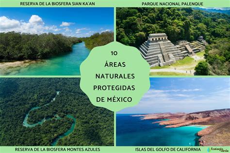 10 áreas naturales protegidas de México Resumen